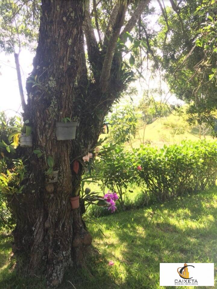 Sítio para Venda em São Roque - 13