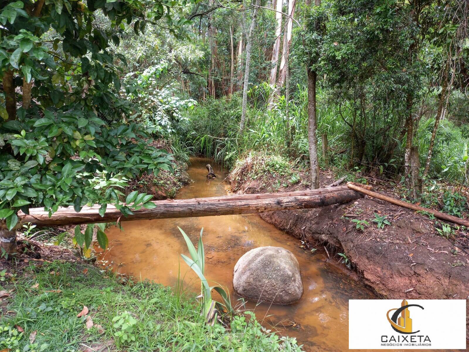 Sítio para Venda em São Roque - 42