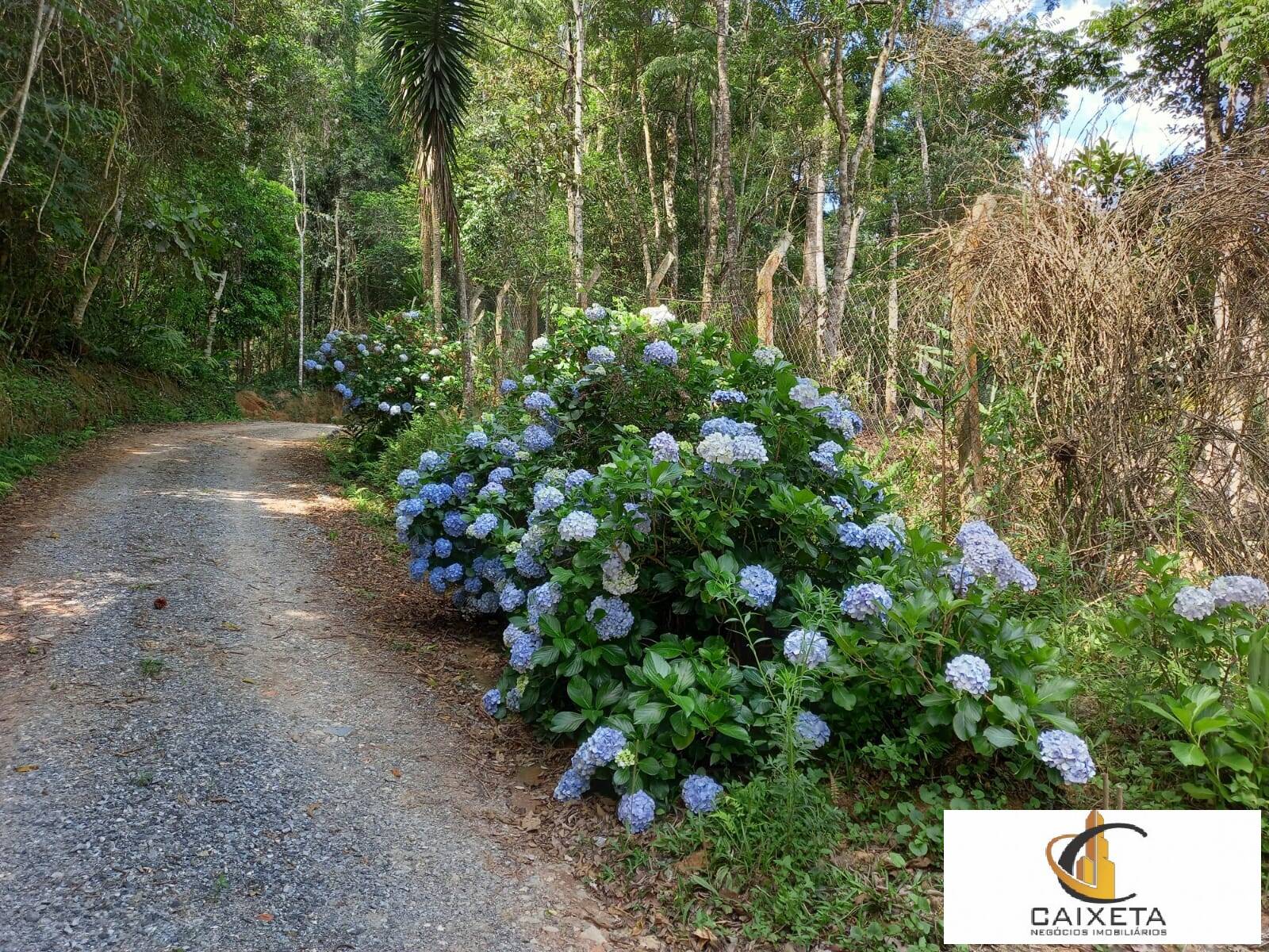 Sítio para Venda em São Roque - 43