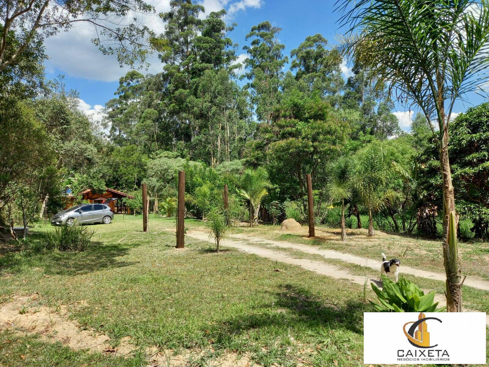 Sítio para Venda em São Roque - 13