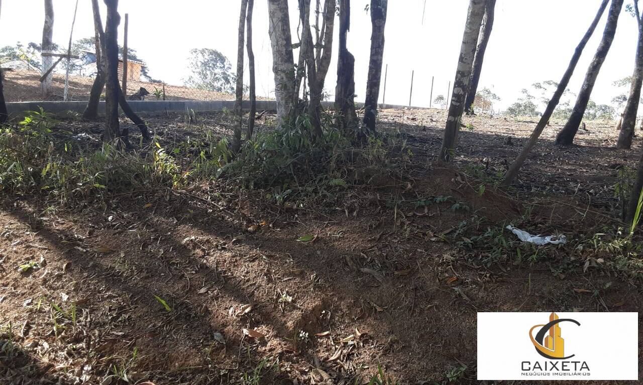 Terreno à venda, 2102m² - Foto 8