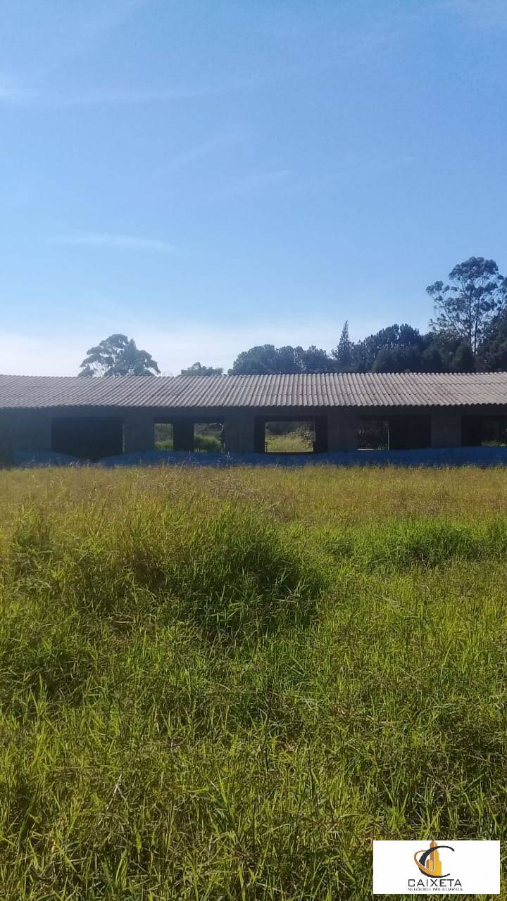 Sítio, 3 quartos, 2 hectares - Foto 4