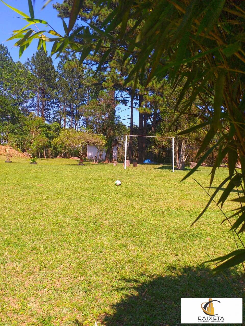 Chácara à venda com 6 quartos, 300m² - Foto 34