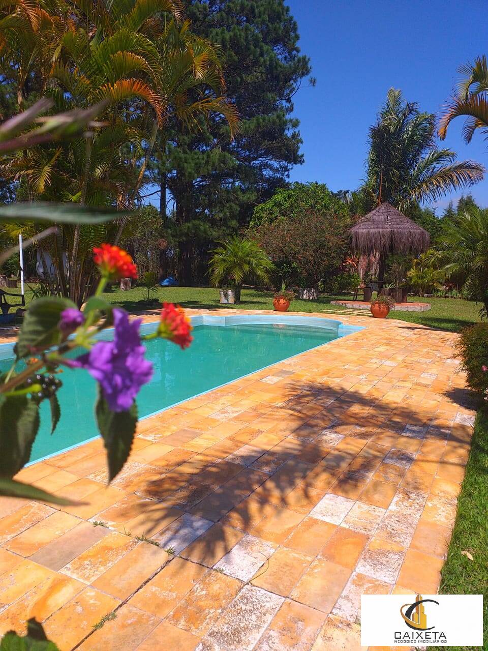 Chácara à venda com 6 quartos, 300m² - Foto 1