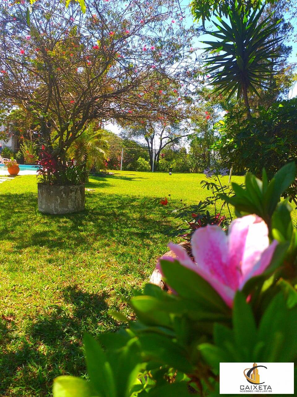 Chácara à venda com 6 quartos, 300m² - Foto 6