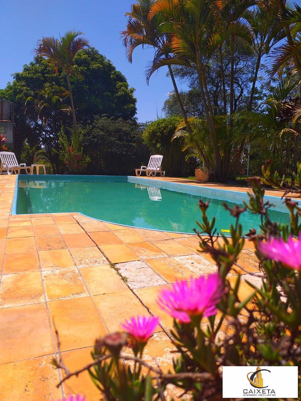Chácara à venda com 6 quartos, 300m² - Foto 9
