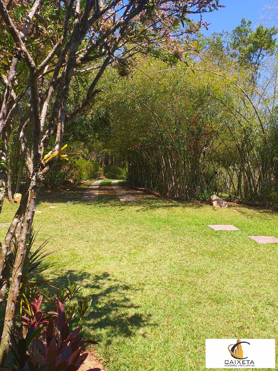 Chácara à venda com 6 quartos, 300m² - Foto 26