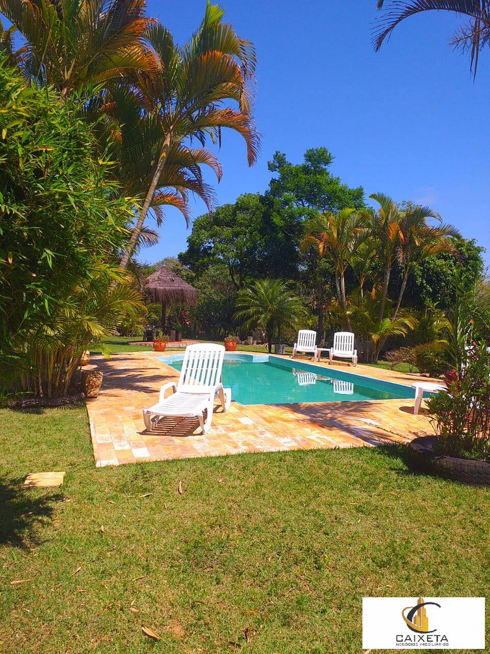 Chácara à venda com 6 quartos, 300m² - Foto 7