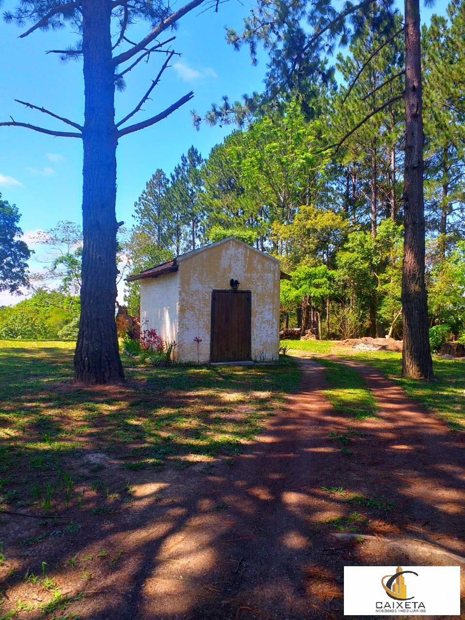 Chácara à venda com 6 quartos, 300m² - Foto 28