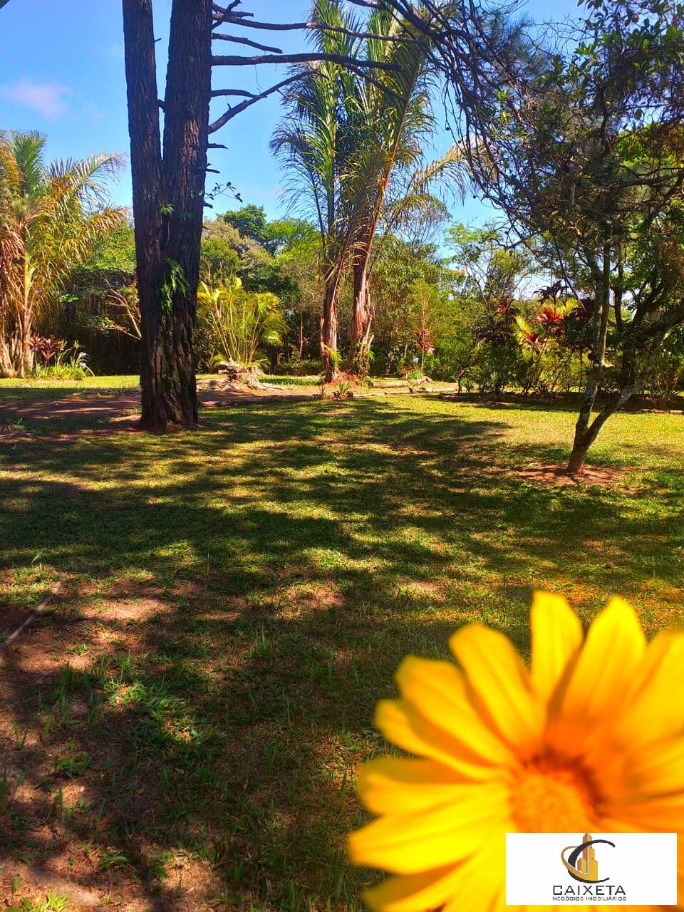Chácara à venda com 6 quartos, 300m² - Foto 29