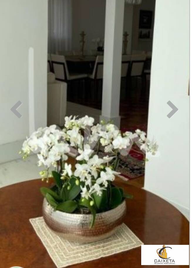 Casa, 4 quartos, 380 m² - Foto 7