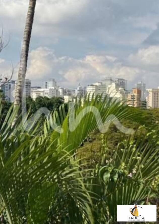 Casa, 4 quartos, 380 m² - Foto 18
