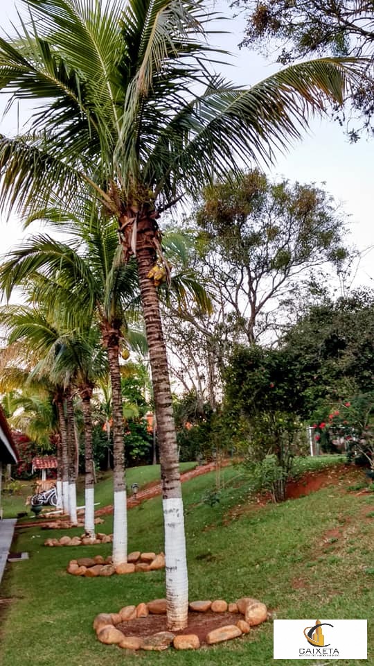 Chácara para Venda em Boituva - 12