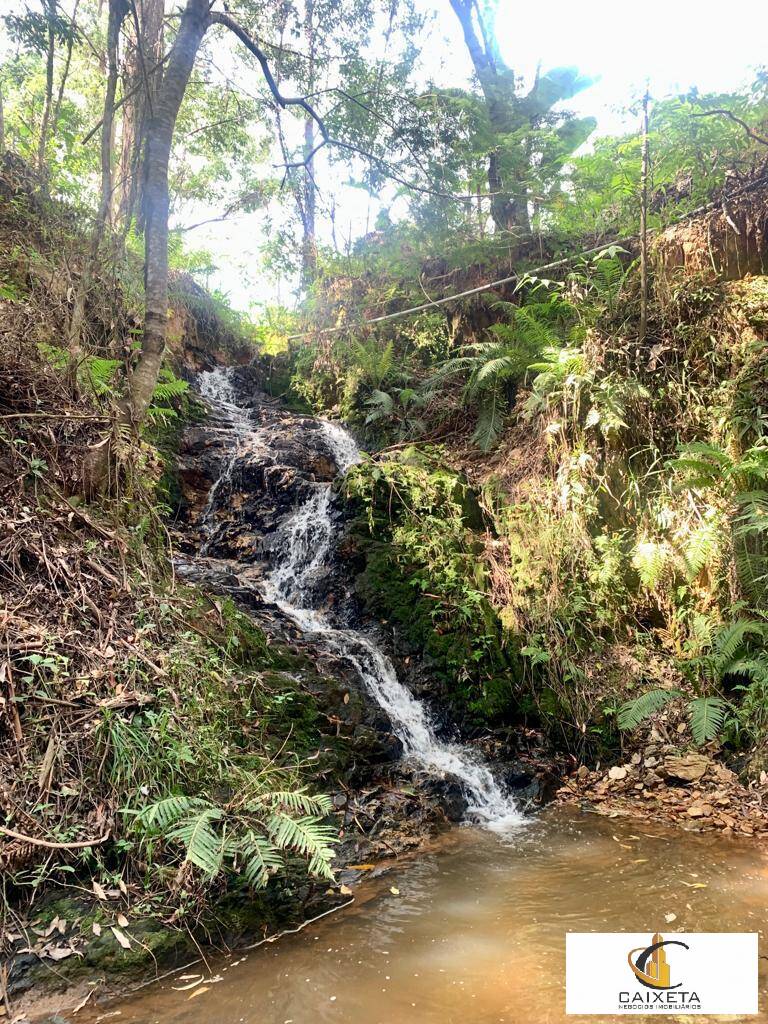 Chácara para Venda em São Roque - 15