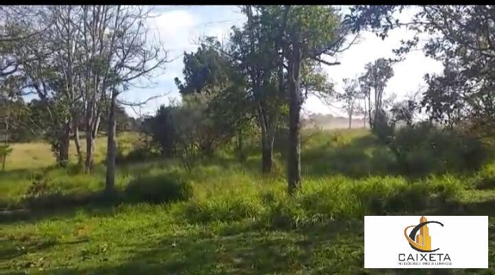 Chácara à venda com 2 quartos, 18000m² - Foto 11