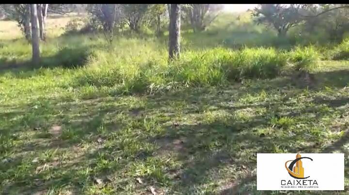 Chácara à venda com 2 quartos, 18000m² - Foto 6