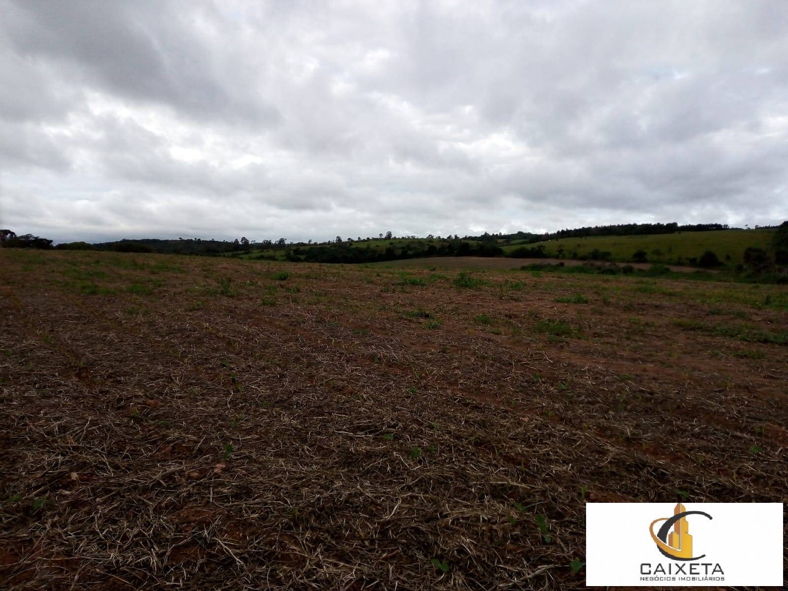Terreno, 5000 m² - Foto 4