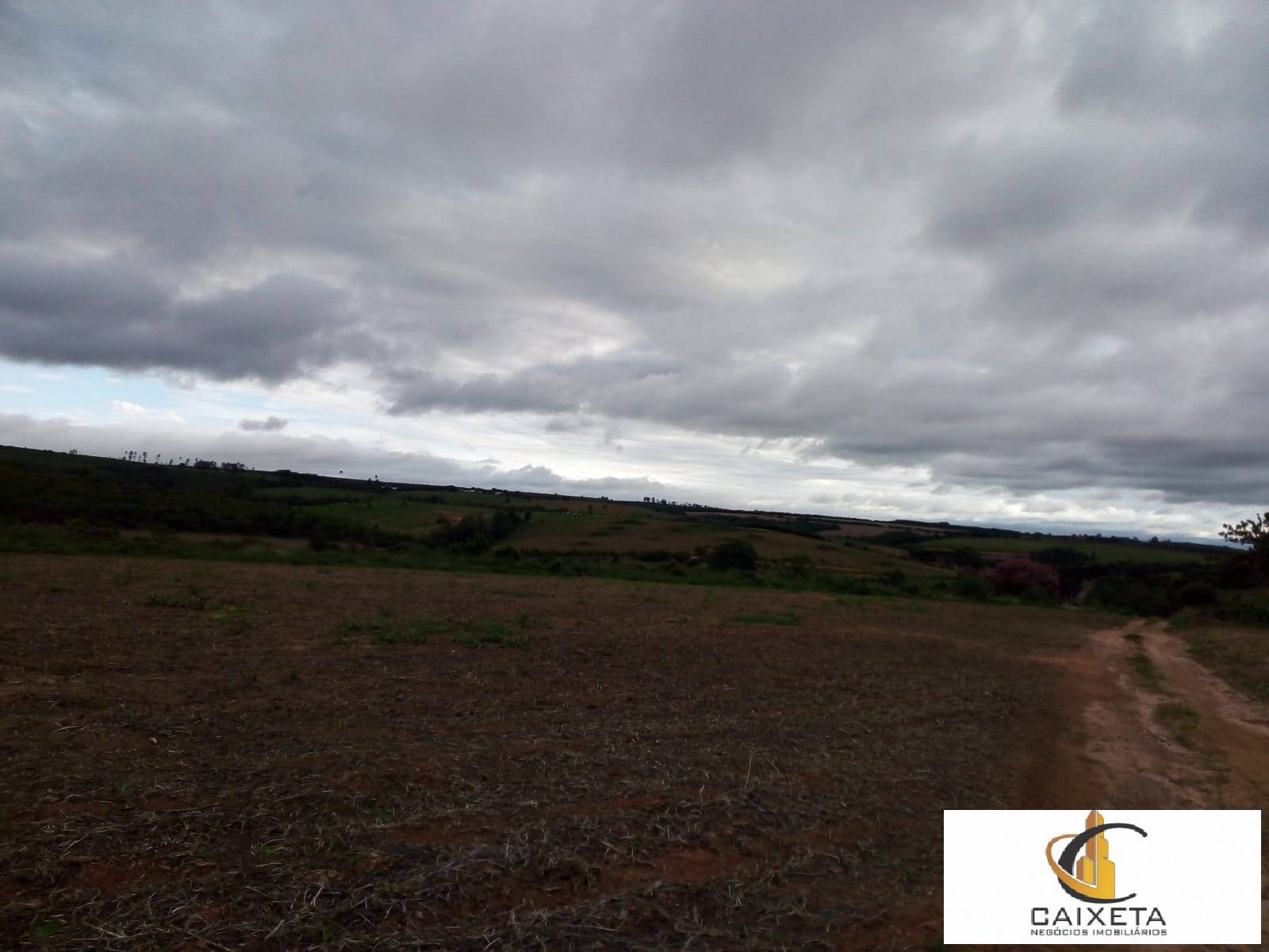 Terreno, 5000 m² - Foto 5