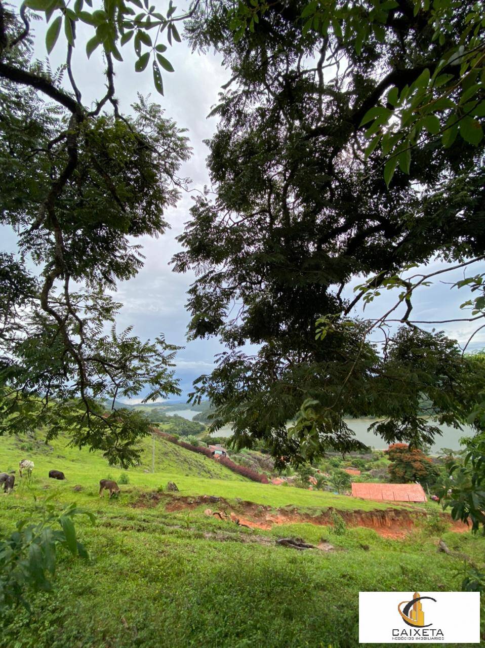 Sítio, 4 quartos, 3 hectares - Foto 33