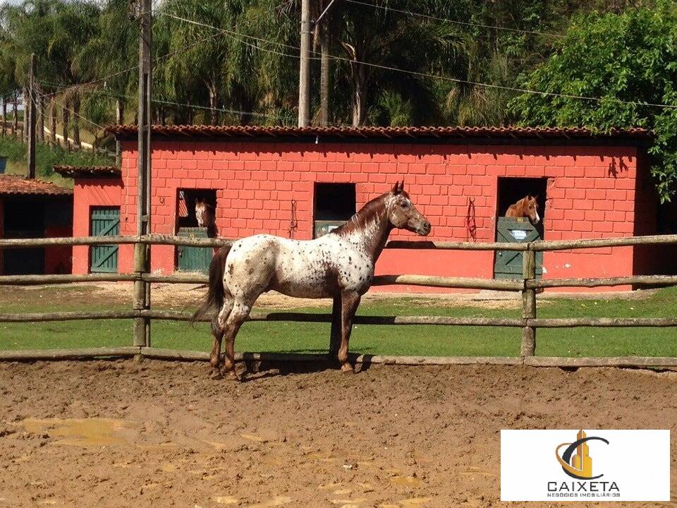 Chácara à venda com 6 quartos, 550m² - Foto 46