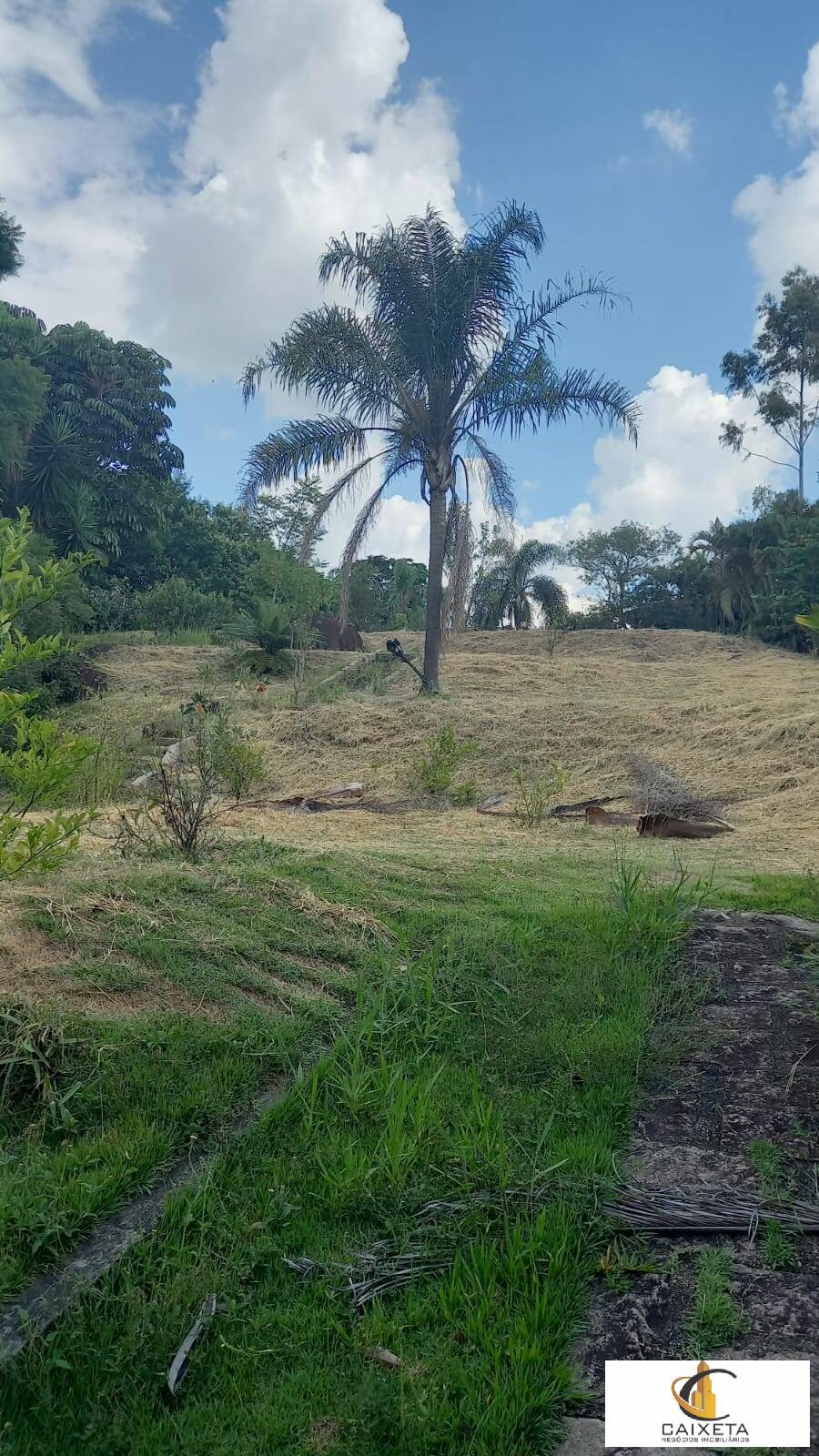 Chácara para Locação em Valinhos - 5