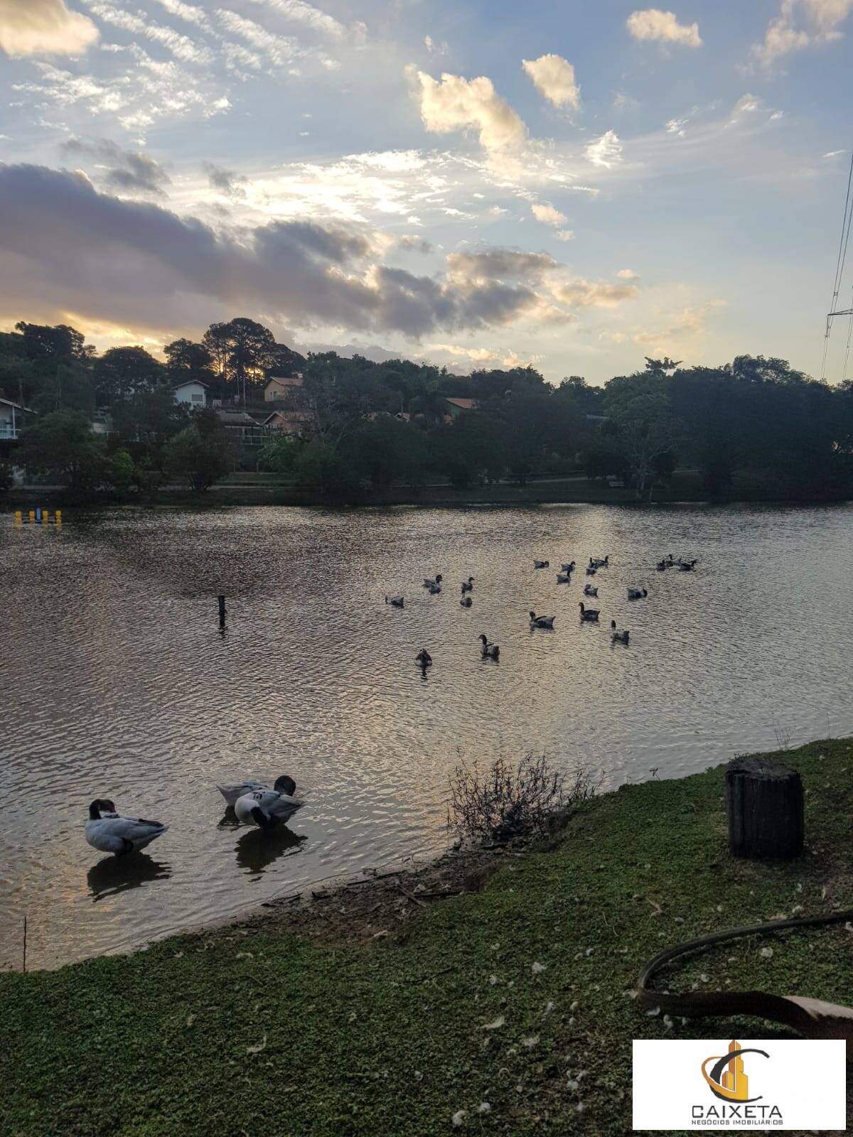 Chácara para Locação em Valinhos - 20