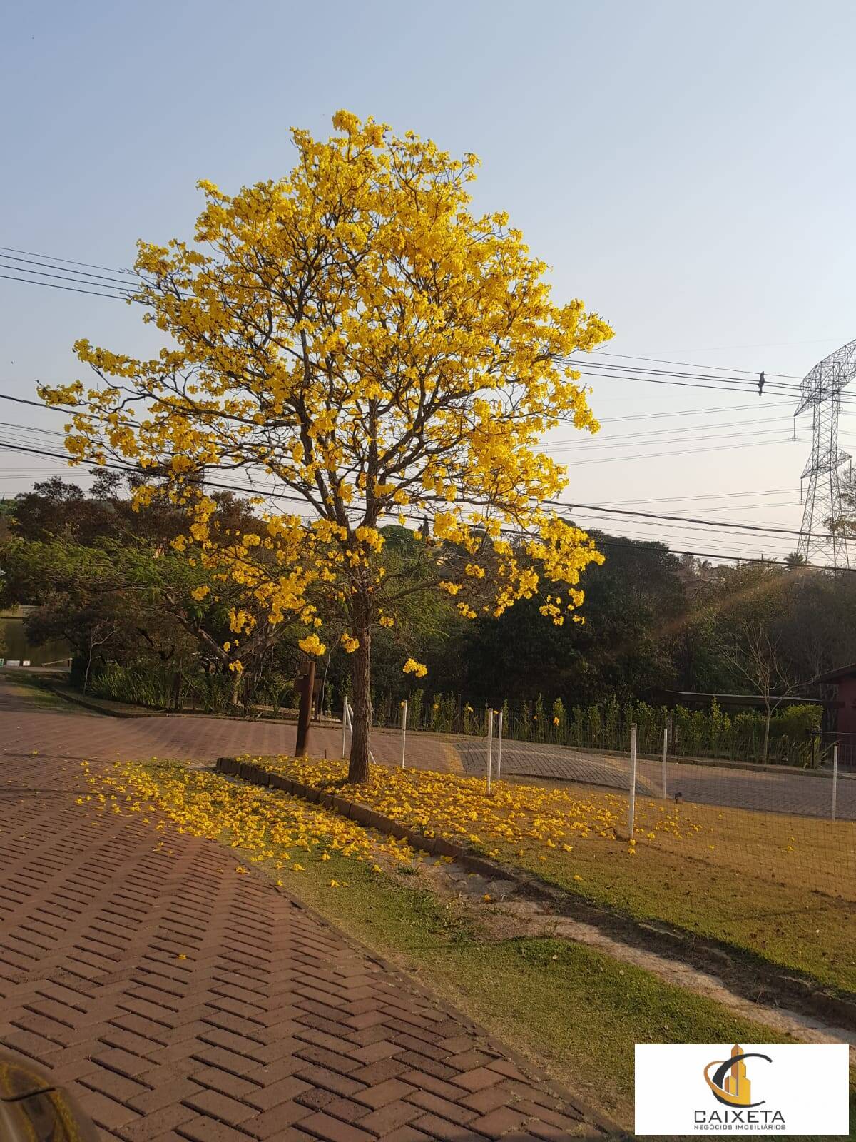 Chácara para Locação em Valinhos - 43