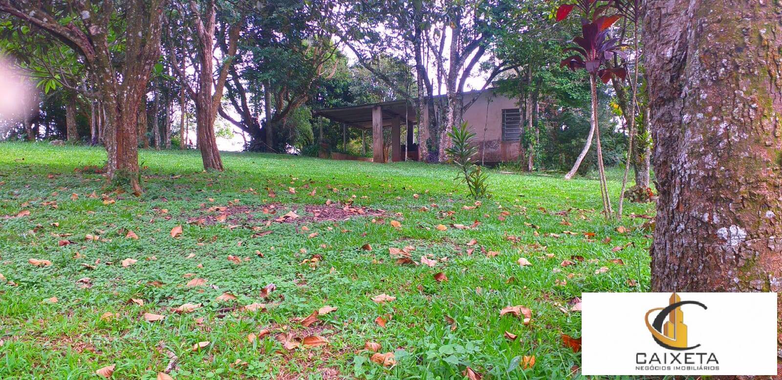 Chácara à venda com 2 quartos, 18000m² - Foto 8