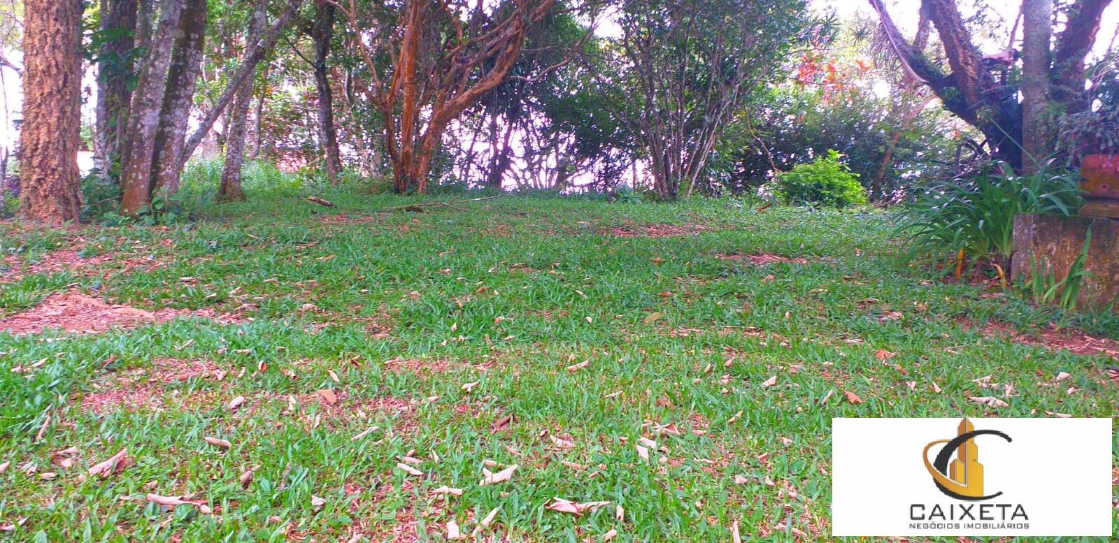 Chácara à venda com 2 quartos, 18000m² - Foto 9