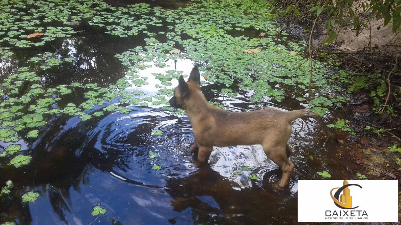 Chácara para Venda em São Roque - 16