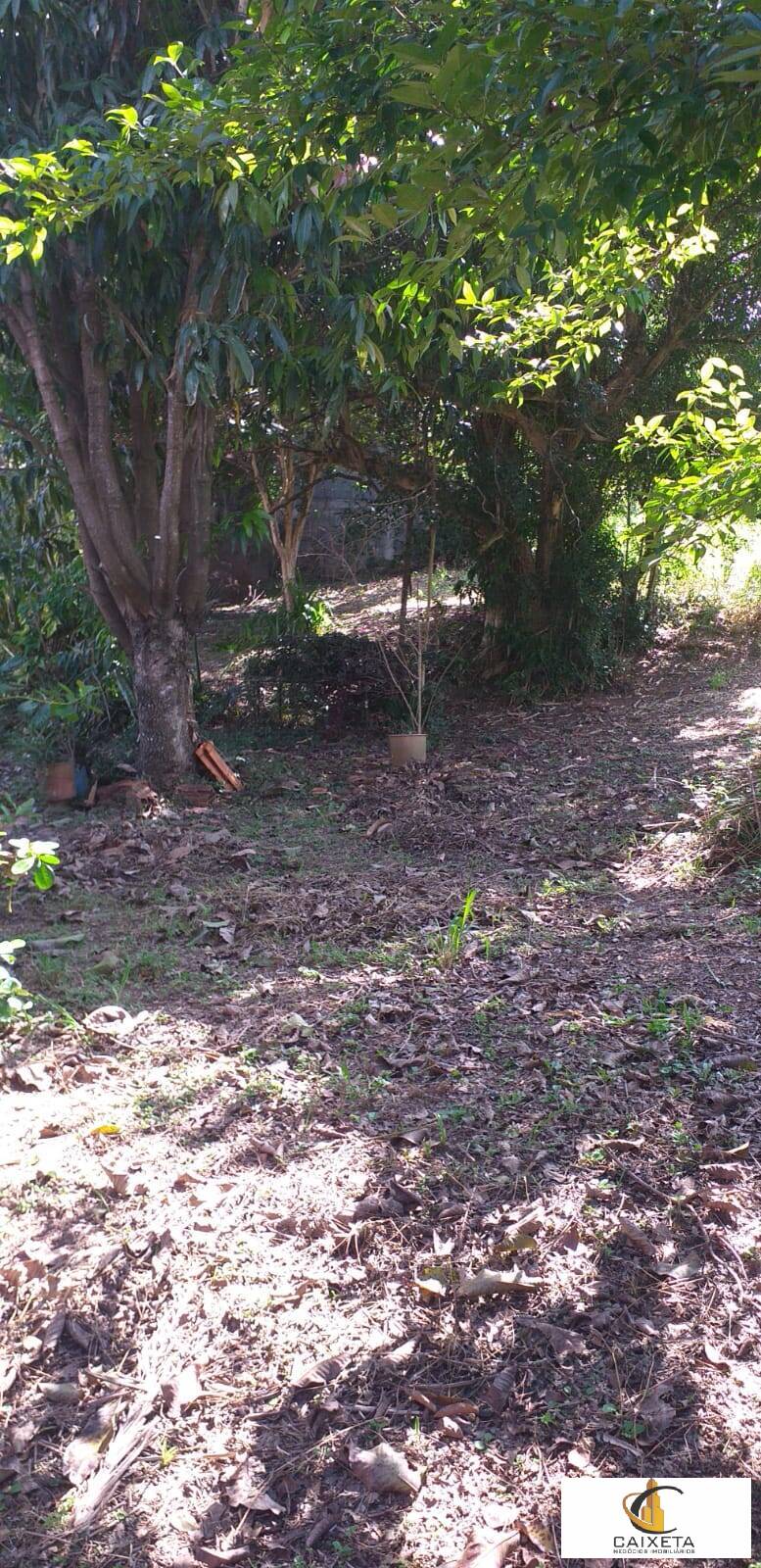 Casa, 4 quartos, 341 m² - Foto 3