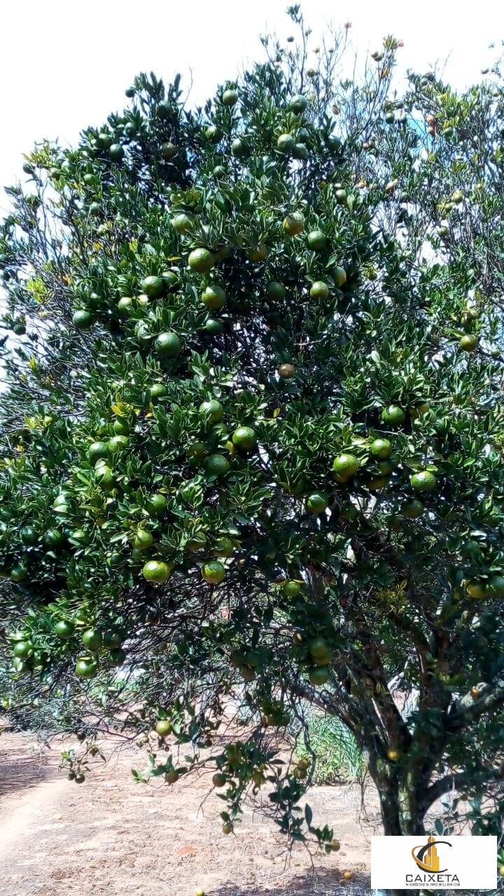 Chácara para Venda em São Roque - 28