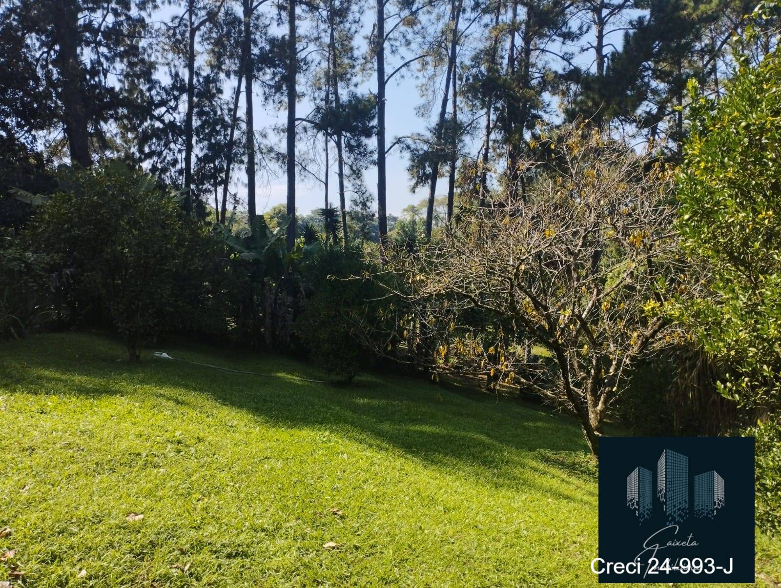 Chácara à venda com 4 quartos, 900m² - Foto 53
