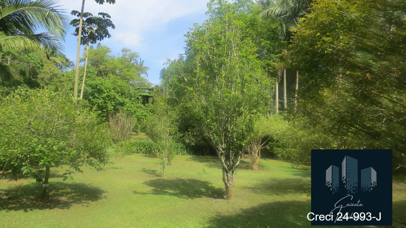Chácara à venda com 4 quartos, 350m² - Foto 6