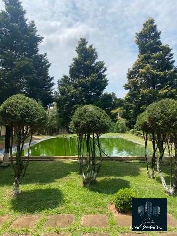 Chácara, 3 quartos, 5000 m² - Foto 2