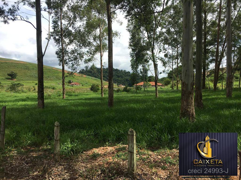 Fazenda à venda com 5 quartos, 1800000m² - Foto 7