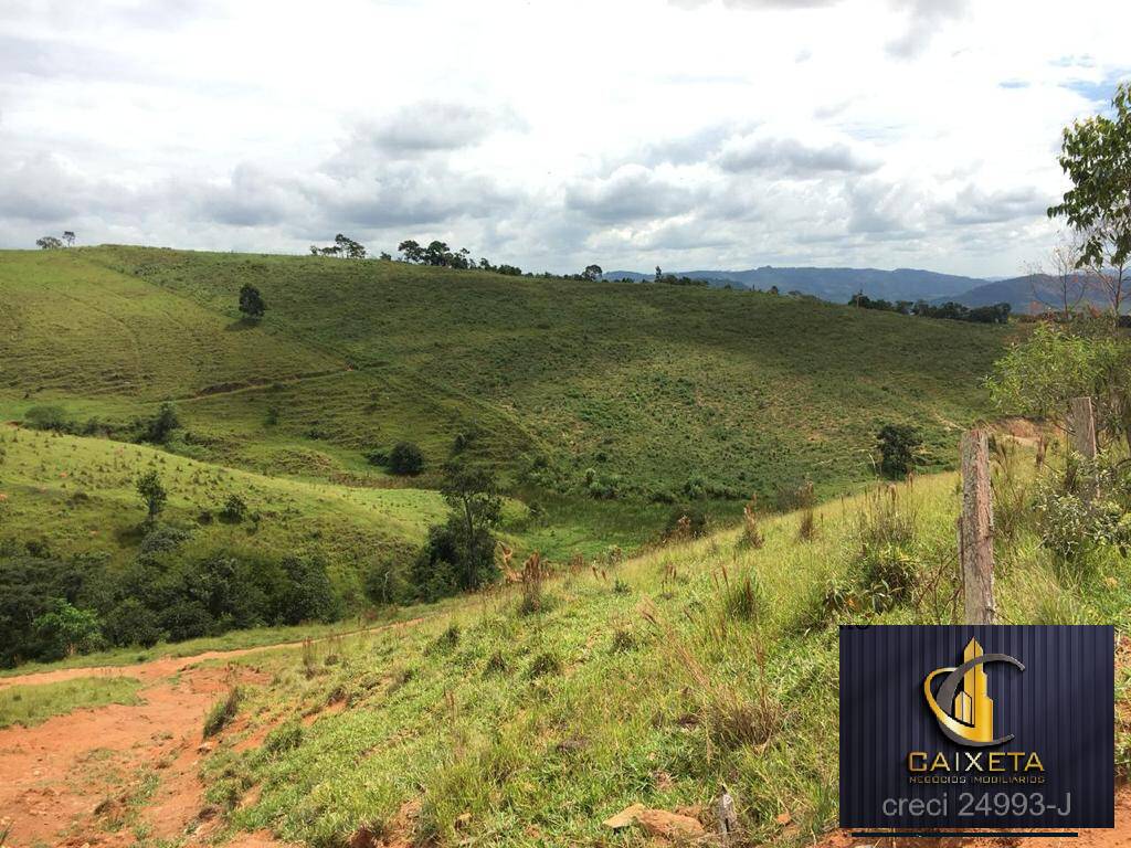 Fazenda à venda com 5 quartos, 1800000m² - Foto 13