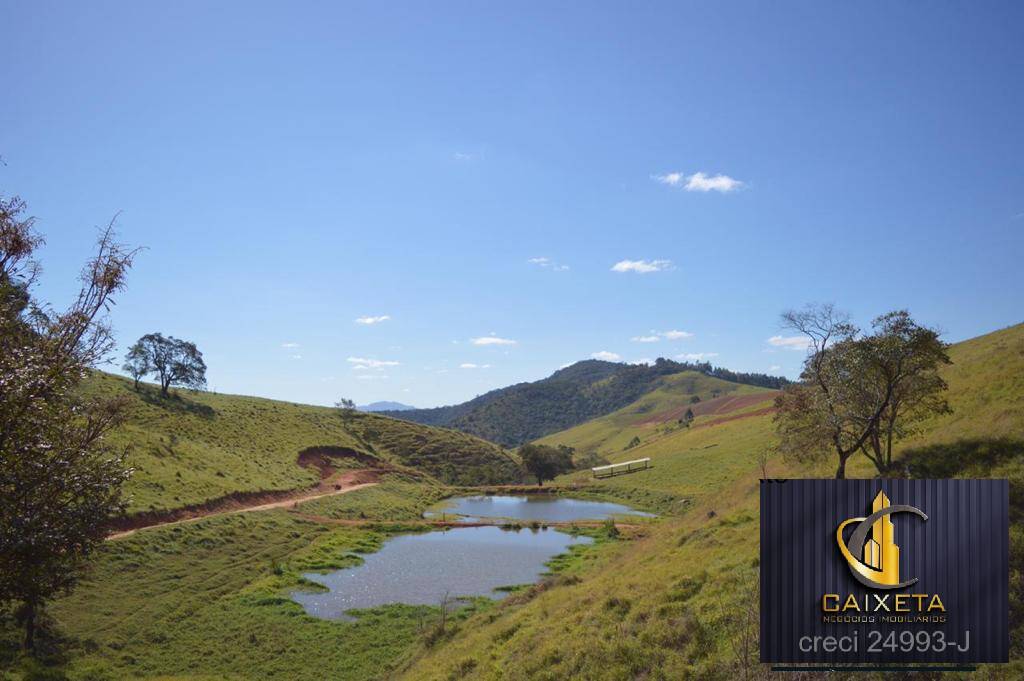 Fazenda à venda com 5 quartos, 1800000m² - Foto 10