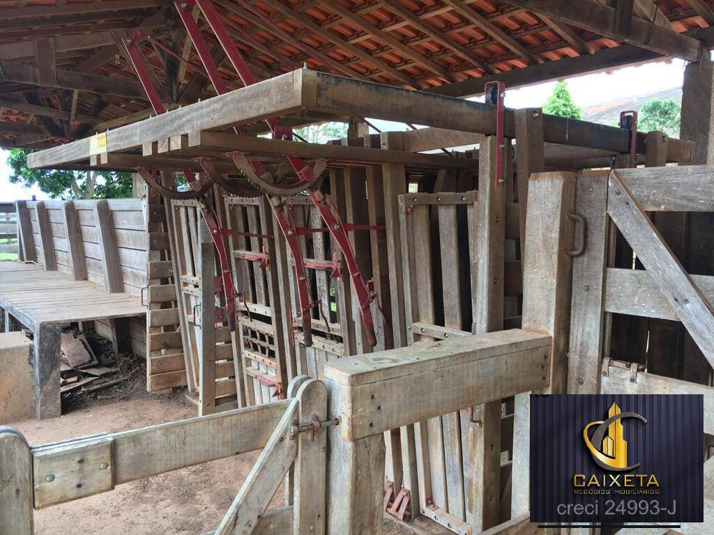 Fazenda à venda com 5 quartos, 1800000m² - Foto 30