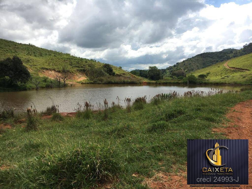 Fazenda à venda com 5 quartos, 1800000m² - Foto 9