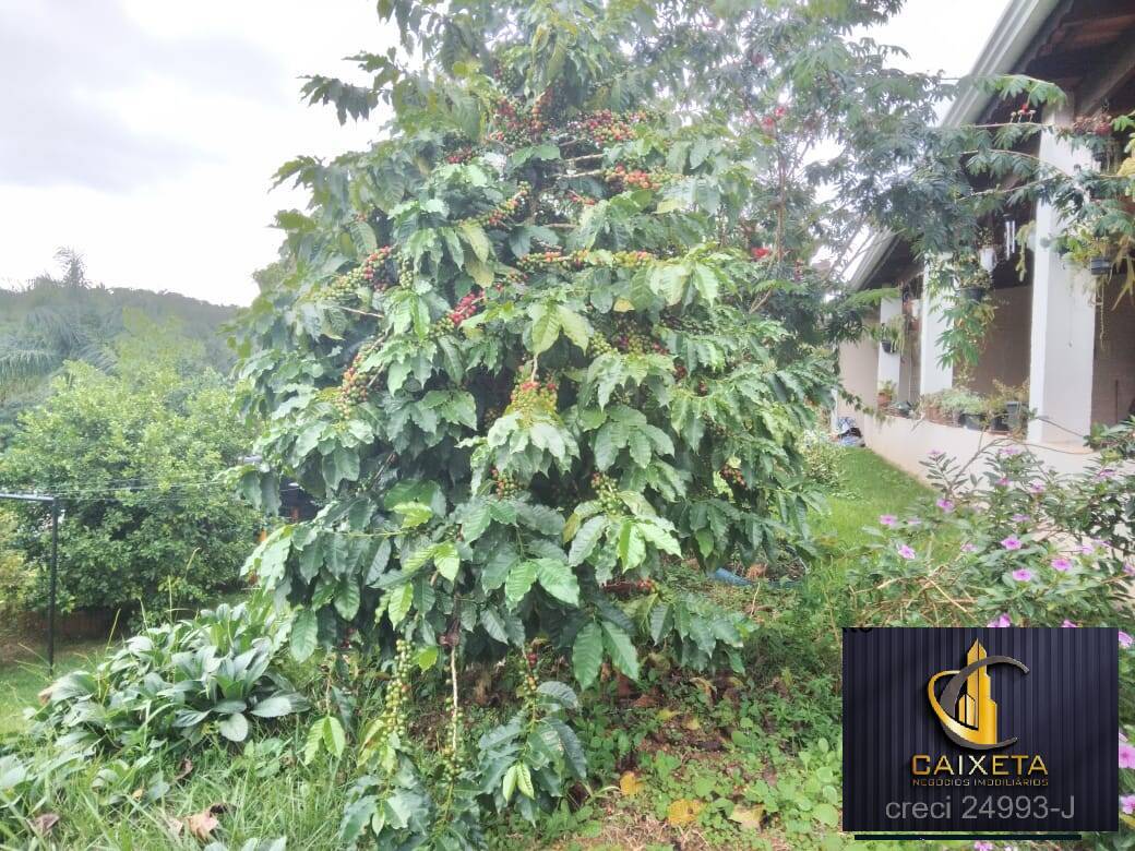 Chácara, 3 quartos, 2200 m² - Foto 5