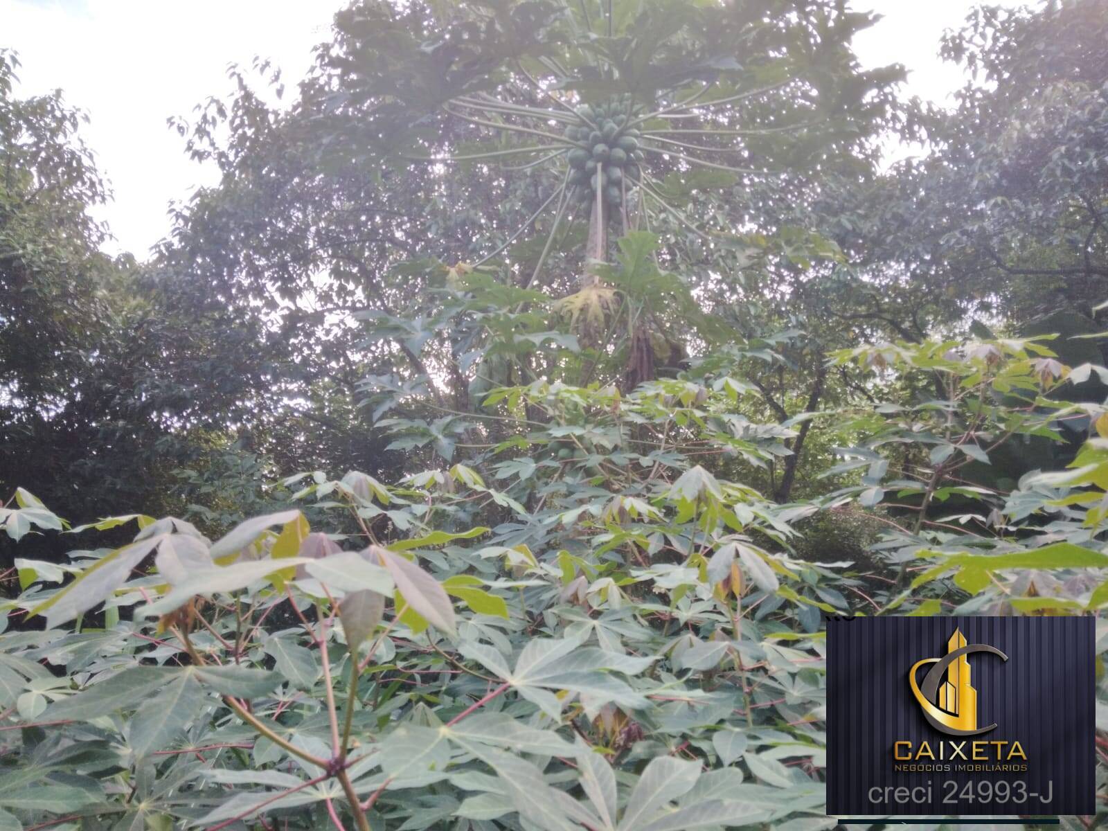 Chácara para Venda em São Roque - 27