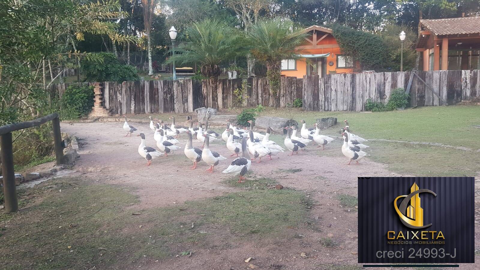 Casa, 3 quartos, 485 m² - Foto 59