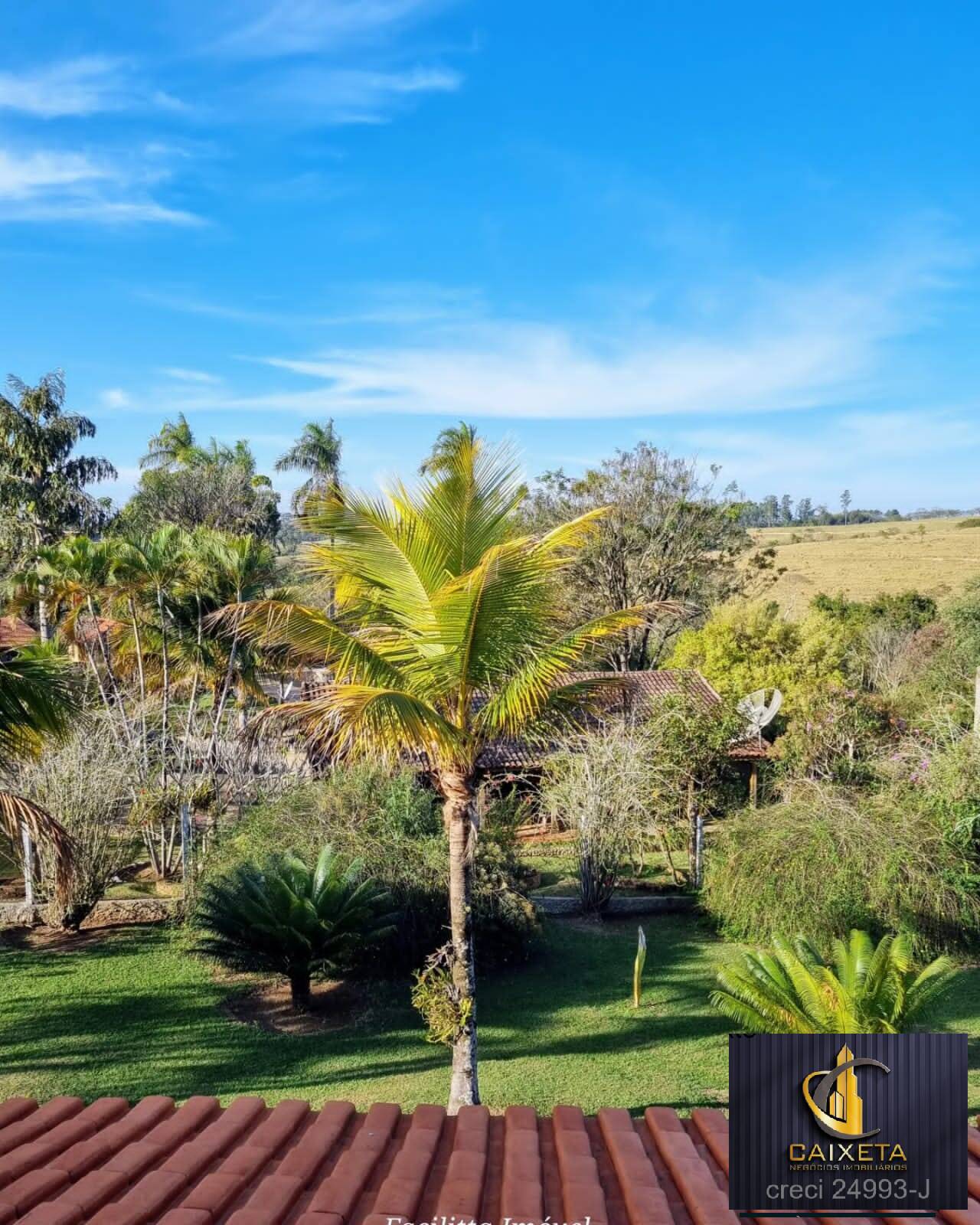 Chácara à venda com 4 quartos, 12000m² - Foto 8