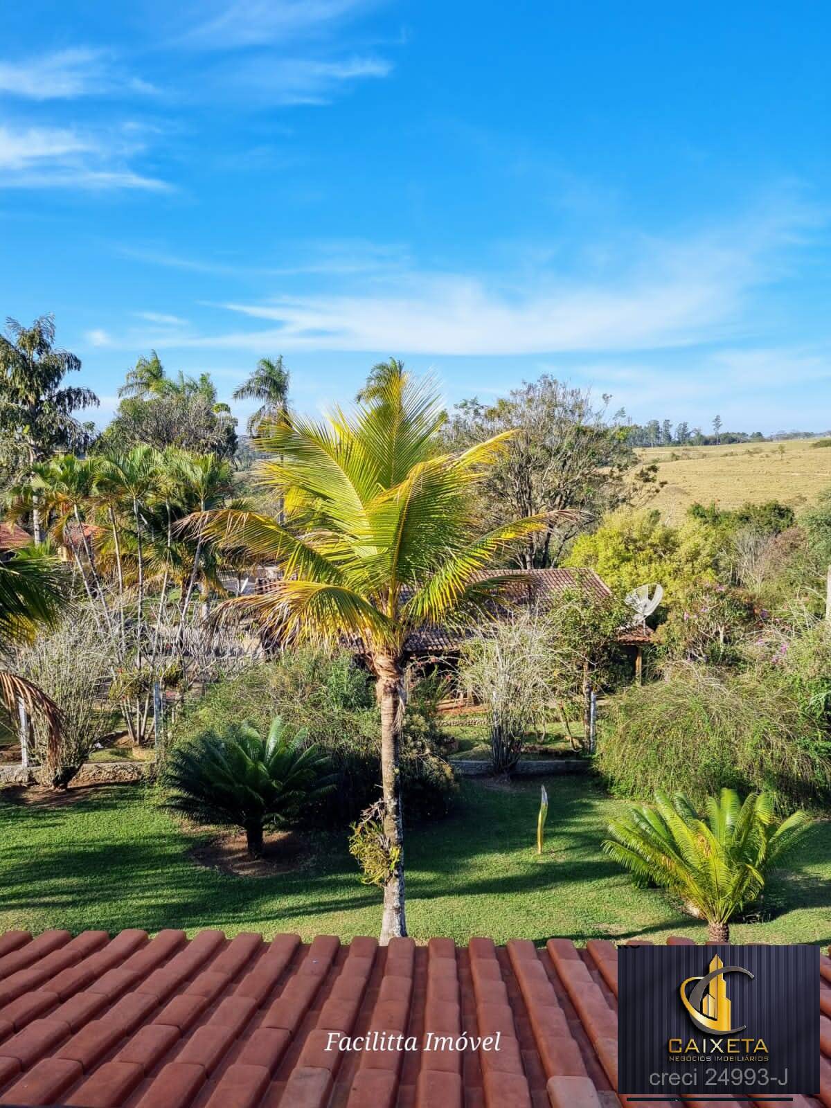 Chácara à venda com 4 quartos, 12000m² - Foto 10