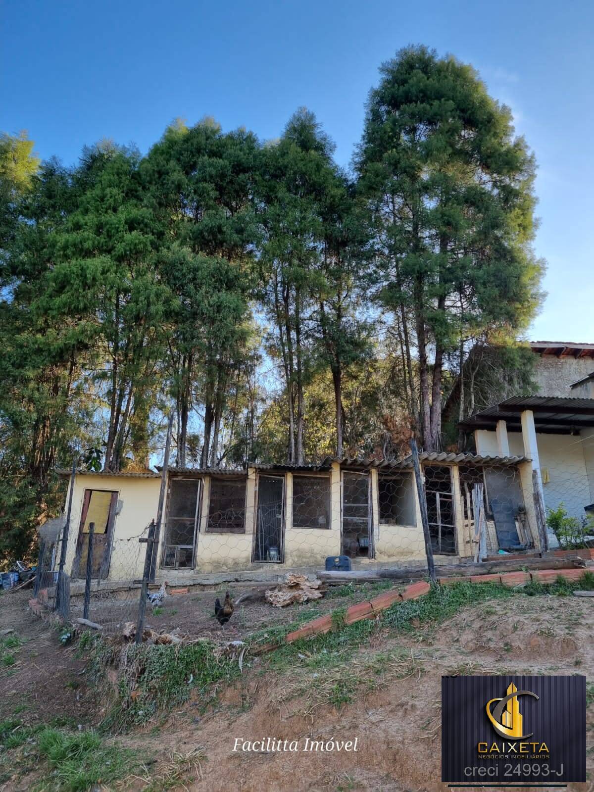 Chácara à venda com 4 quartos, 12000m² - Foto 25
