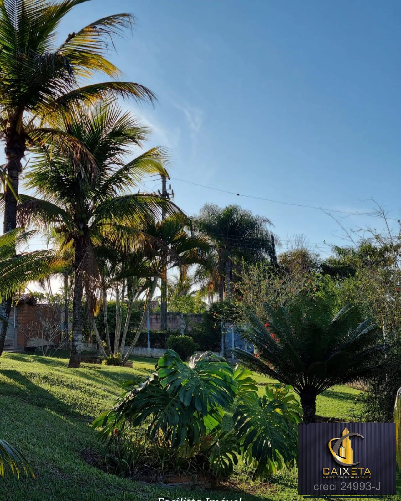 Chácara à venda com 4 quartos, 12000m² - Foto 9
