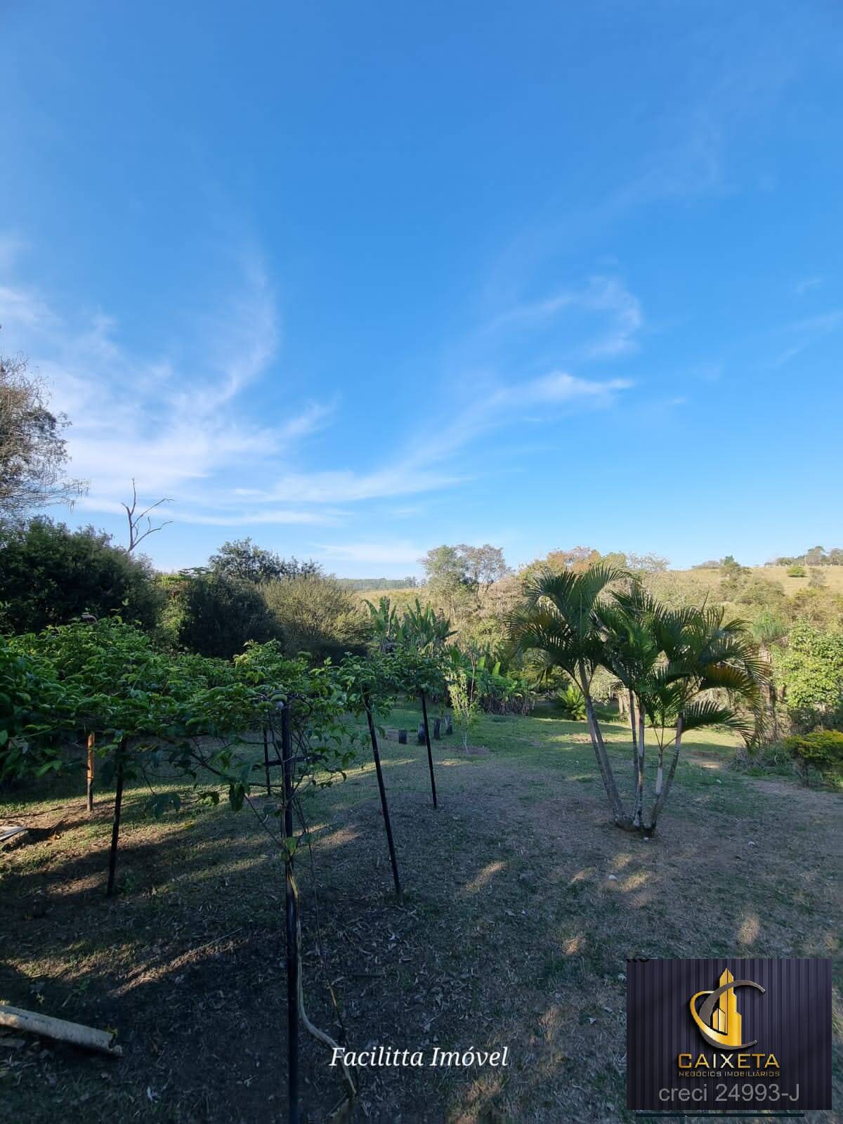 Chácara à venda com 4 quartos, 12000m² - Foto 20