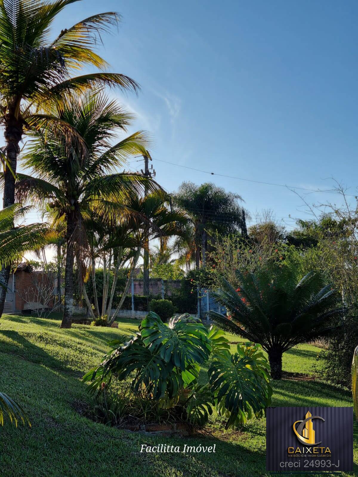 Chácara à venda com 4 quartos, 12000m² - Foto 21