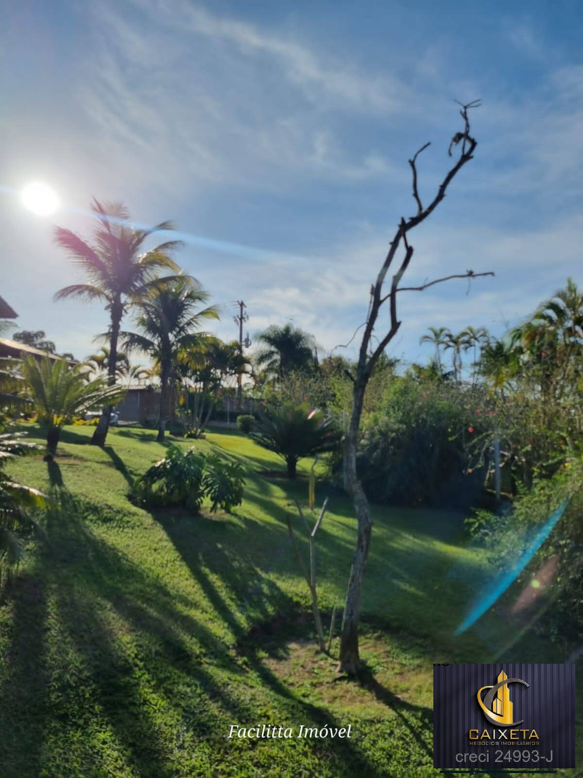 Chácara à venda com 4 quartos, 12000m² - Foto 29